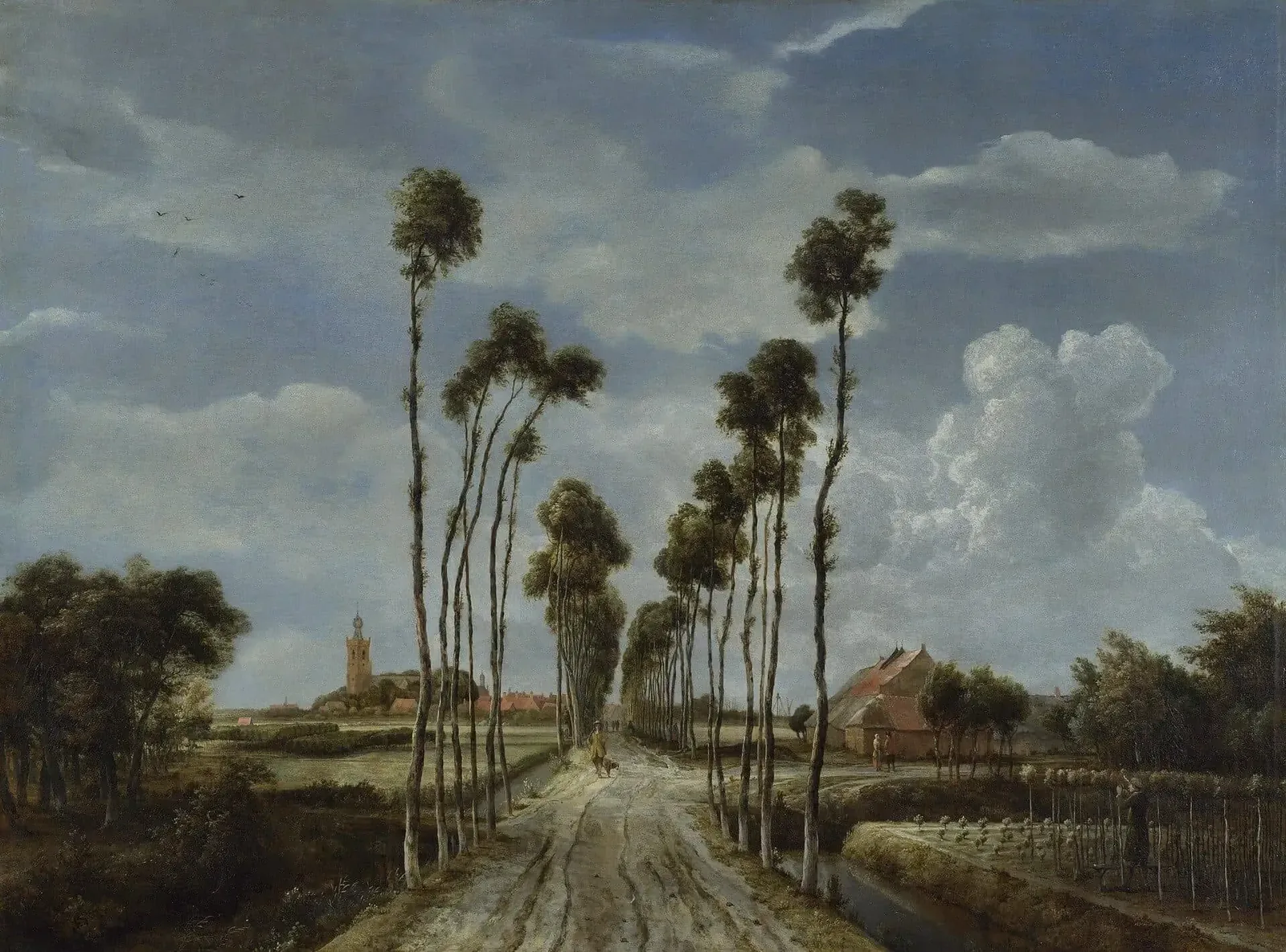 Paisaje holandés con un camino recto flanqueado por árboles altos y delgados que lleva hacia un pueblo